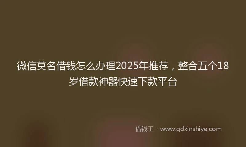 微信莫名借钱怎么办理2025年推荐，整合五个18岁借款神器快速下款平台
