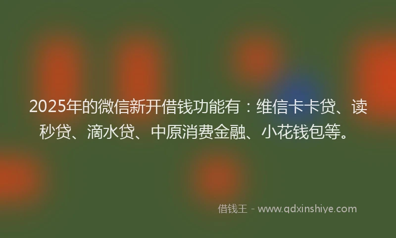 2025年的微信新开借钱功能有：维信卡卡贷、读秒贷、滴水贷、中原消费金融、小花钱包等。