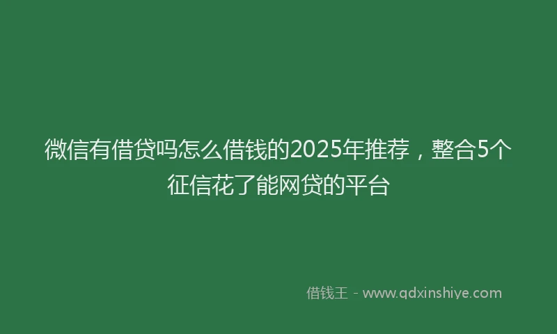 微信有借贷吗怎么借钱的2025年推荐，整合5个征信花了能网贷的平台