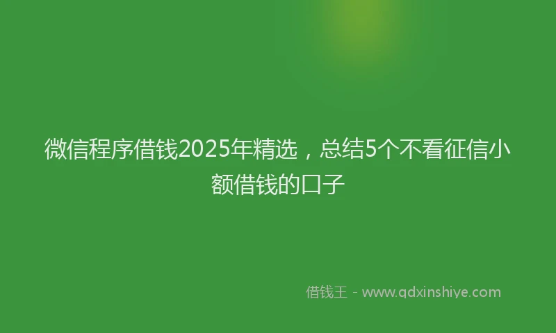 微信程序借钱2025年精选，总结5个不看征信小额借钱的口子