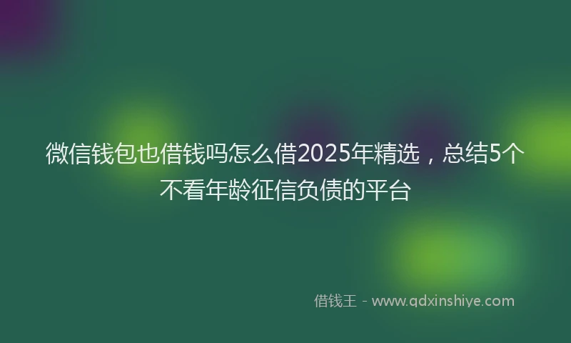 微信钱包也借钱吗怎么借2025年精选，总结5个不看年龄征信负债的平台