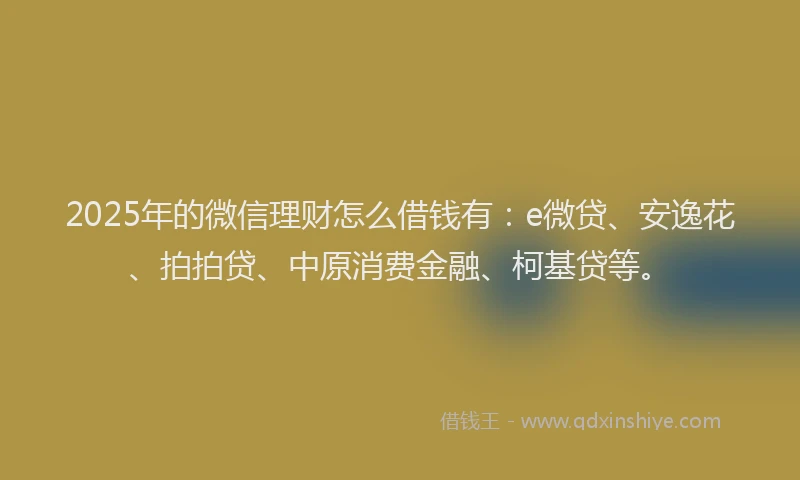 2025年的微信理财怎么借钱有：e微贷、安逸花、拍拍贷、中原消费金融、柯基贷等。