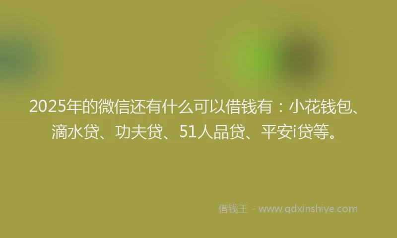 2025年的微信还有什么可以借钱有：小花钱包、滴水贷、功夫贷、51人品贷、平安i贷等。