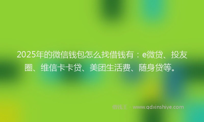 2025年的微信钱包怎么找借钱有：e微贷、投友圈、维信卡卡贷、美团生活费、随身贷等。