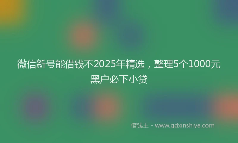 微信新号能借钱不2025年精选，整理5个1000元黑户必下小贷