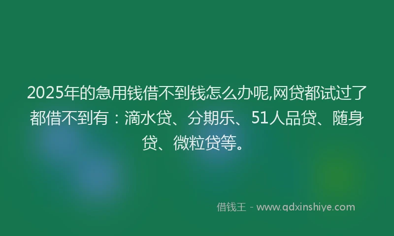2025年的急用钱借不到钱怎么办呢,网贷都试过了都借不到有：滴水贷、分期乐、51人品贷、随身贷、微粒贷等。