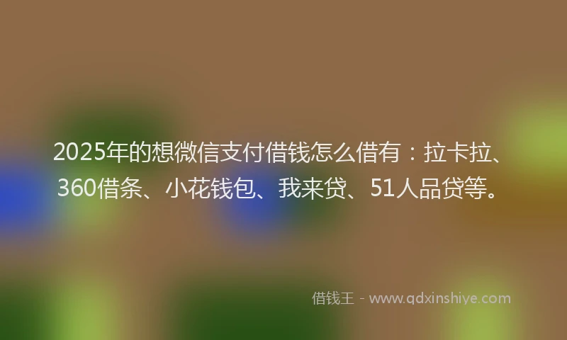 2025年的想微信支付借钱怎么借有：拉卡拉、360借条、小花钱包、我来贷、51人品贷等。