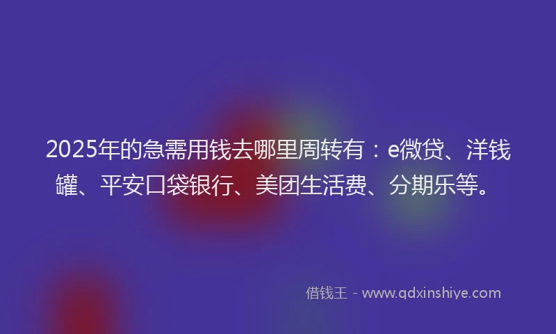 2025年的急需用钱去哪里周转有:e微贷、洋钱罐、平安口袋银行、美团生活费、分期乐等。