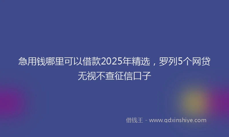 急用钱哪里可以借款2025年精选，罗列5个网贷无视不查征信口子