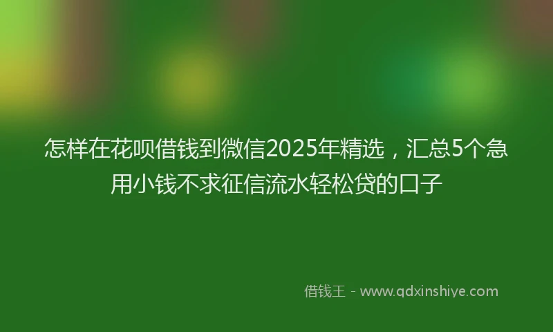 怎样在花呗借钱到微信2025年精选，汇总5个急用小钱不求征信流水轻松贷的口子