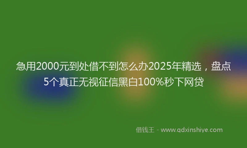 急用2000元到处借不到怎么办2025年精选，盘点5个真正无视征信黑白100%秒下网贷