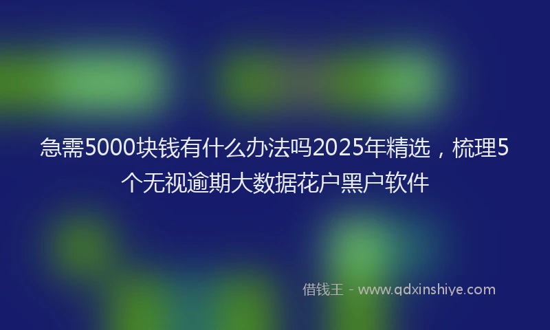 急需5000块钱有什么办法吗2025年精选，梳理5个无视逾期大数据花户黑户软件