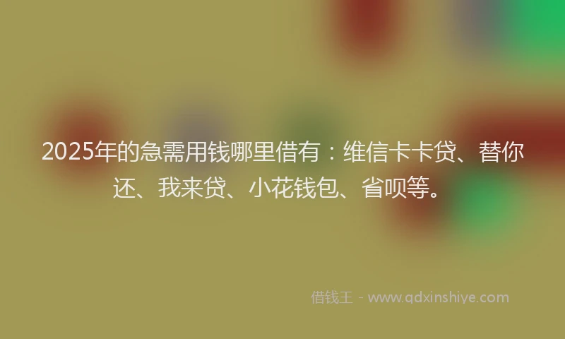2025年的急需用钱哪里借有：维信卡卡贷、替你还、我来贷、小花钱包、省呗等。