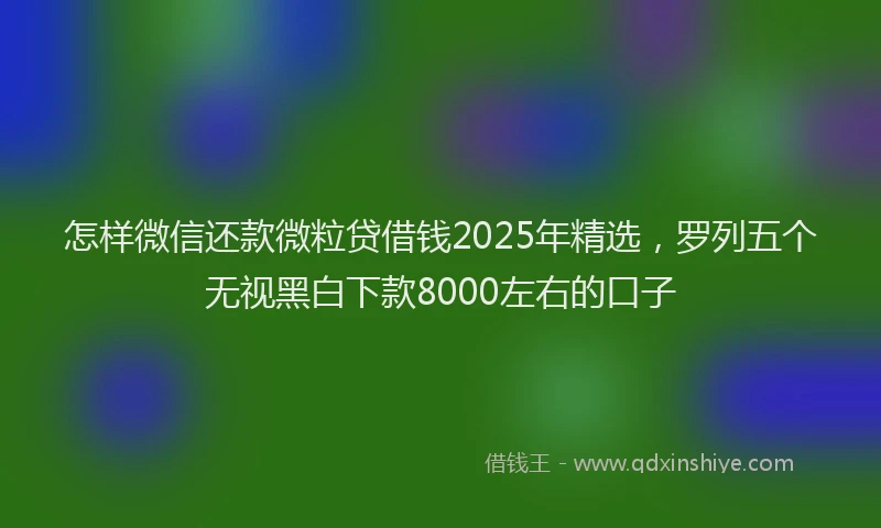 怎样微信还款微粒贷借钱2025年精选，罗列五个无视黑白下款8000左右的口子