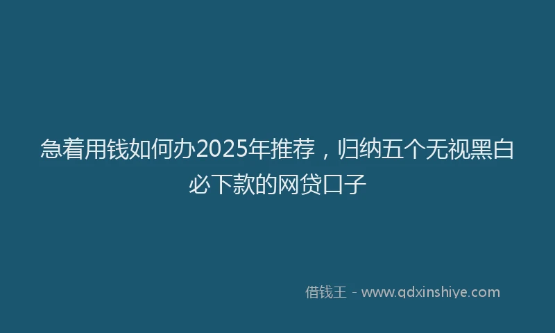 急着用钱如何办2025年推荐，归纳五个无视黑白必下款的网贷口子