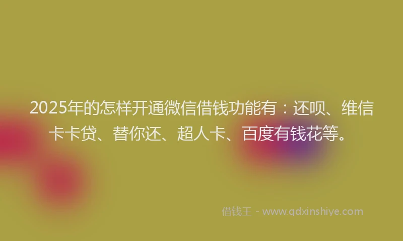 2025年的怎样开通微信借钱功能有：还呗、维信卡卡贷、替你还、超人卡、百度有钱花等。