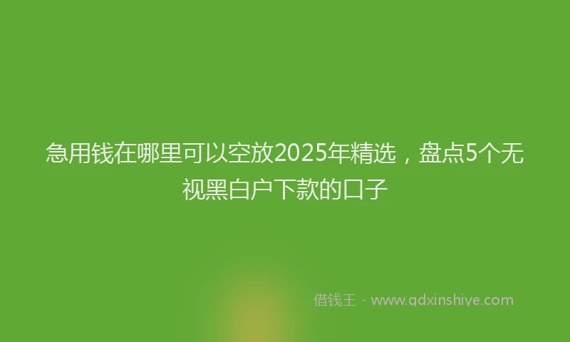 急用钱在哪里可以空放2025年精选，盘点5个无视黑白户下款的口子