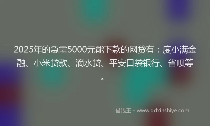 2025年的急需5000元能下款的网贷有：度小满金融、小米贷款、滴水贷、平安口袋银行、省呗等。