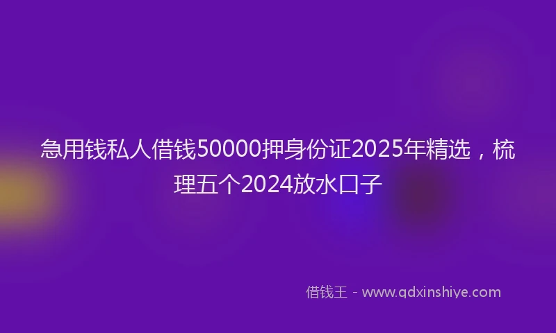 急用钱私人借钱50000押身份证2025年精选，梳理五个2024放水口子