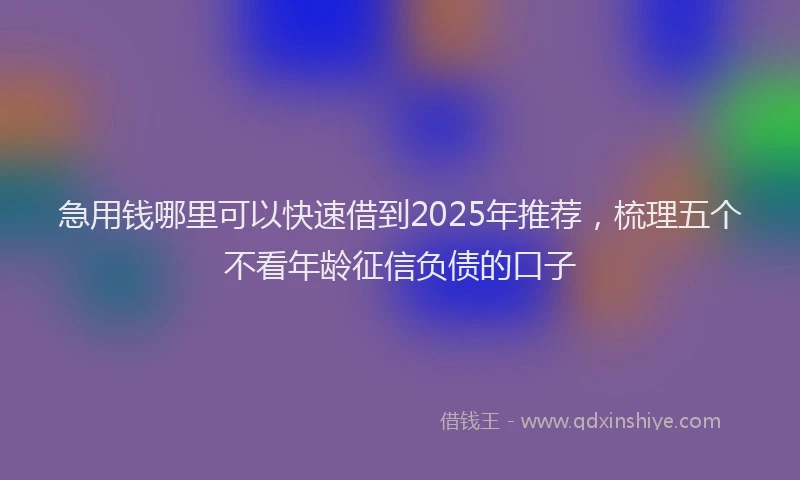 急用钱哪里可以快速借到2025年推荐，梳理五个不看年龄征信负债的口子