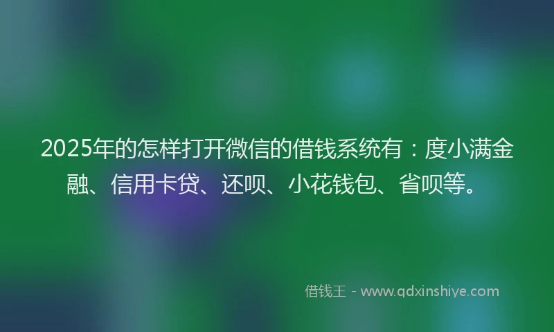 2025年的怎样打开微信的借钱系统有：度小满金融、信用卡贷、还呗、小花钱包、省呗等。