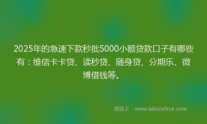 2025年的急速下款秒批5000小额贷款口子有哪些有：维信卡卡贷、读秒贷、随身贷、分期乐、微博借钱等。