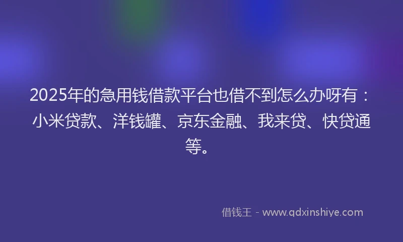 2025年的急用钱借款平台也借不到怎么办呀有：小米贷款、洋钱罐、京东金融、我来贷、快贷通等。