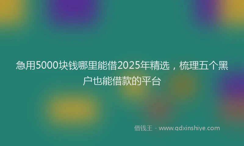 急用5000块钱哪里能借2025年精选，梳理五个黑户也能借款的平台