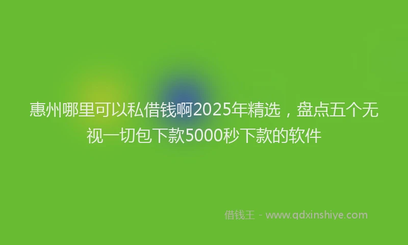 惠州哪里可以私借钱啊2025年精选，盘点五个无视一切包下款5000秒下款的软件