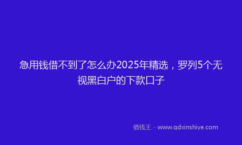 急用钱借不到了怎么办2025年精选，罗列5个无视黑白户的下款口子
