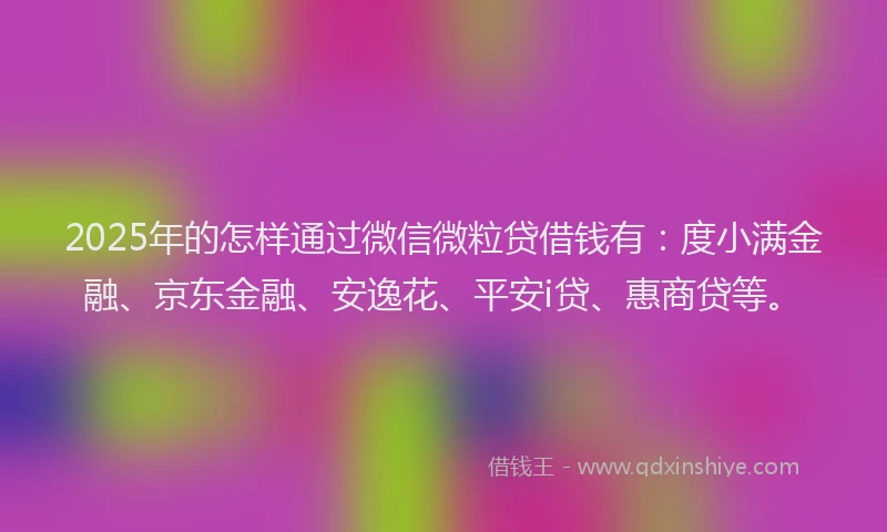2025年的怎样通过微信微粒贷借钱有：度小满金融、京东金融、安逸花、平安i贷、惠商贷等。