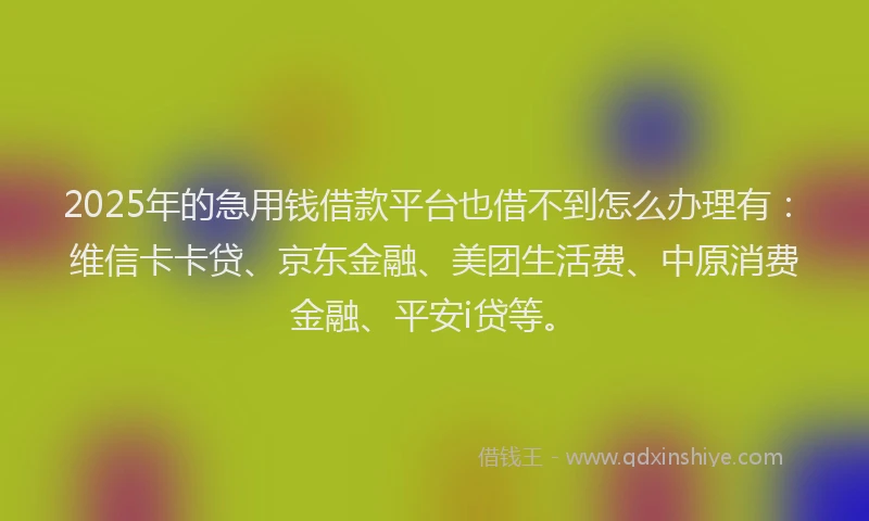 2025年的急用钱借款平台也借不到怎么办理有：维信卡卡贷、京东金融、美团生活费、中原消费金融、平安i贷等。