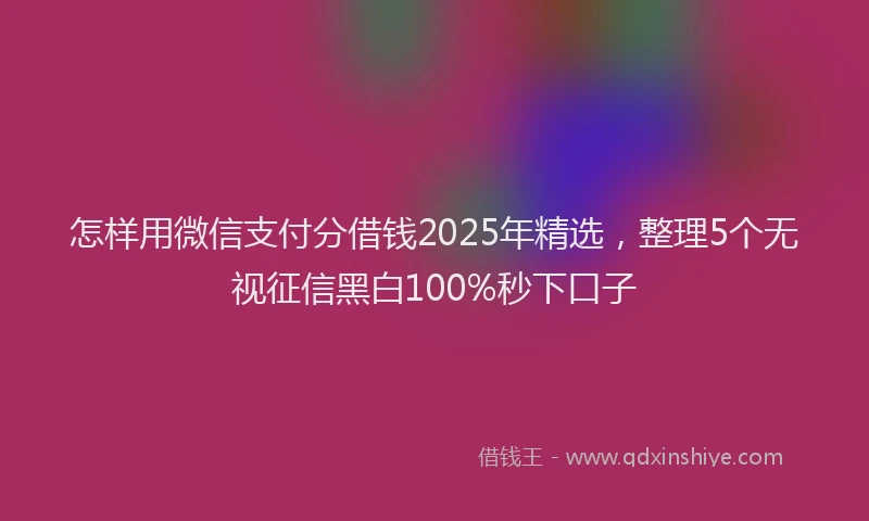 怎样用微信支付分借钱2025年精选，整理5个无视征信黑白100%秒下口子