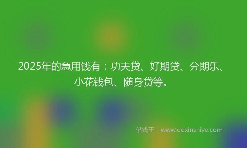 2025年的急用钱有：功夫贷、好期贷、分期乐、小花钱包、随身贷等。