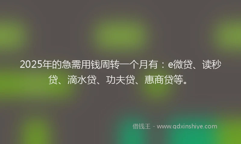 2025年的急需用钱周转一个月有：e微贷、读秒贷、滴水贷、功夫贷、惠商贷等。