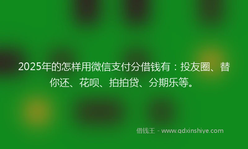 2025年的怎样用微信支付分借钱有：投友圈、替你还、花呗、拍拍贷、分期乐等。