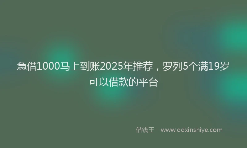 急借1000马上到账2025年推荐，罗列5个满19岁可以借款的平台