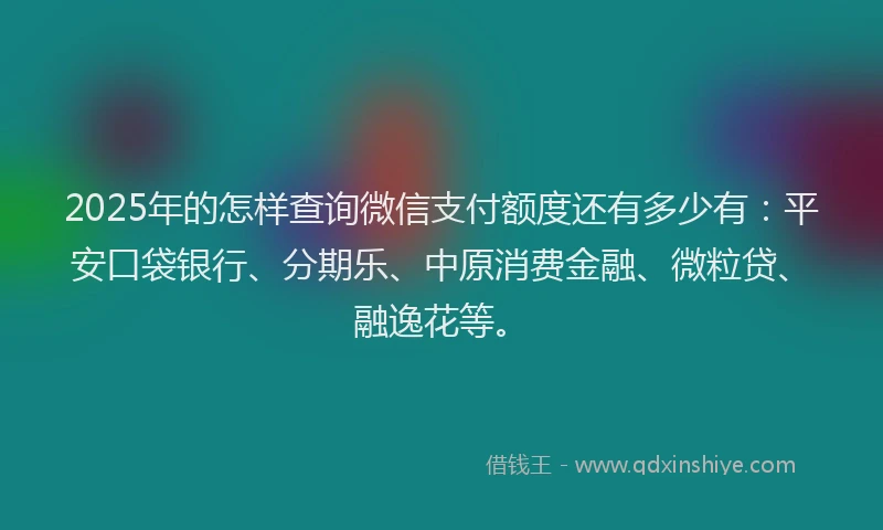 2025年的怎样查询微信支付额度还有多少有：平安口袋银行、分期乐、中原消费金融、微粒贷、融逸花等。