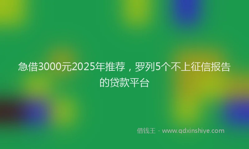 急借3000元2025年推荐，罗列5个不上征信报告的贷款平台