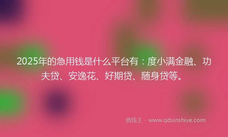 2025年的急用钱是什么平台有：度小满金融、功夫贷、安逸花、好期贷、随身贷等。