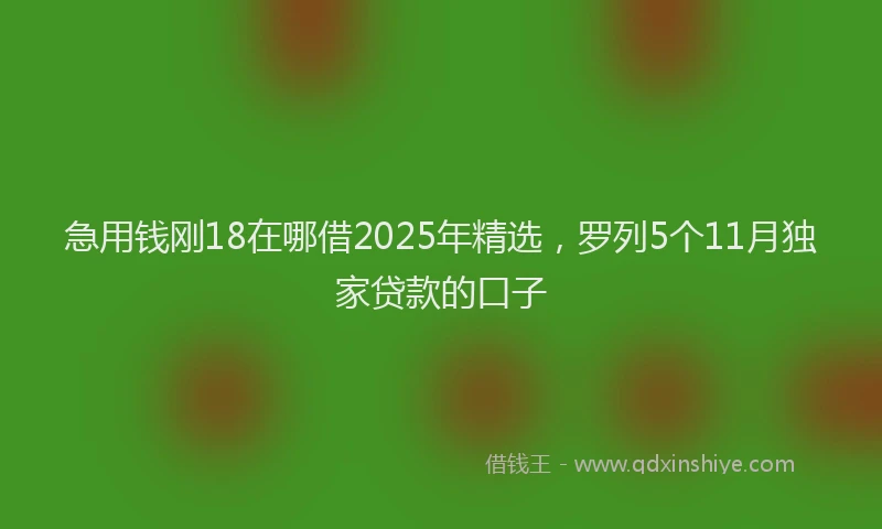 急用钱刚18在哪借2025年精选，罗列5个11月独家贷款的口子