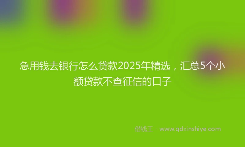 急用钱去银行怎么贷款2025年精选，汇总5个小额贷款不查征信的口子