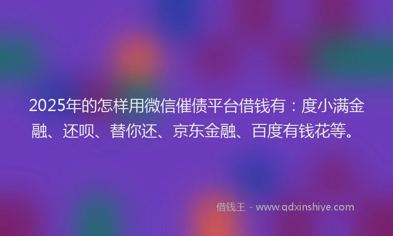 2025年的怎样用微信催债平台借钱有：度小满金融、还呗、替你还、京东金融、百度有钱花等。