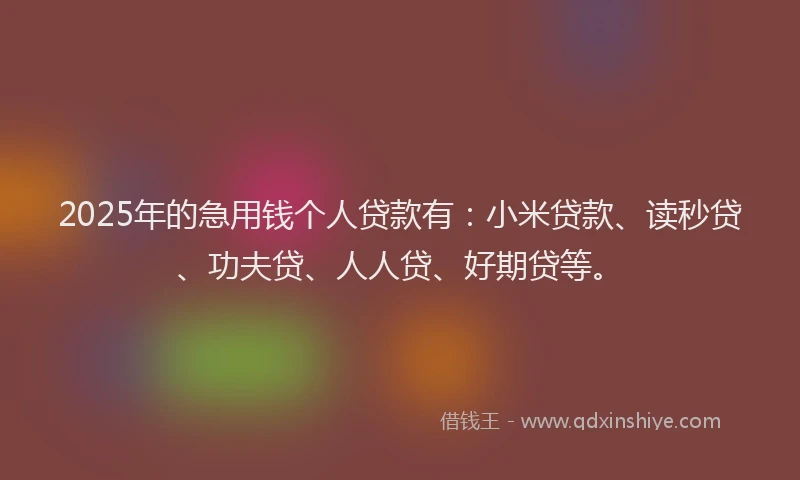 2025年的急用钱个人贷款有：小米贷款、读秒贷、功夫贷、人人贷、好期贷等。