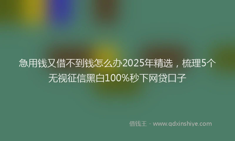 急用钱又借不到钱怎么办2025年精选，梳理5个无视征信黑白100%秒下网贷口子