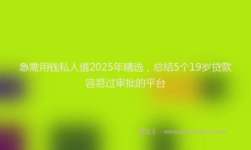 急需用钱私人借2025年精选，总结5个19岁贷款容易过审批的平台