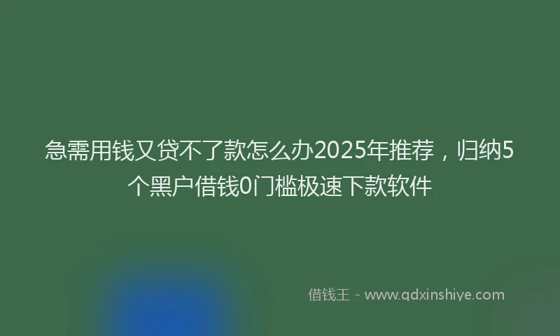 急需用钱又贷不了款怎么办2025年推荐，归纳5个黑户借钱0门槛极速下款软件