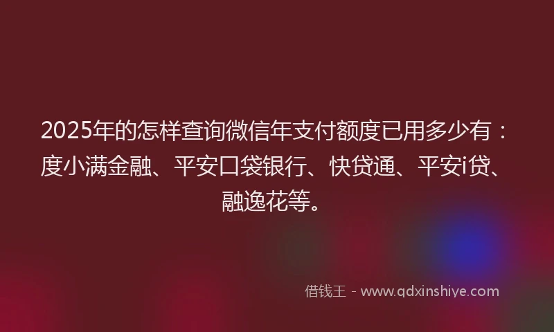 2025年的怎样查询微信年支付额度已用多少有：度小满金融、平安口袋银行、快贷通、平安i贷、融逸花等。