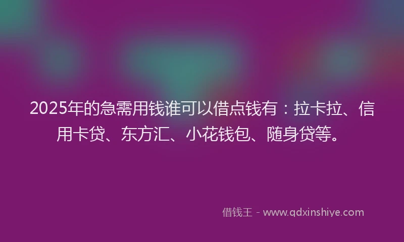 2025年的急需用钱谁可以借点钱有:拉卡拉、信用卡贷、东方汇、小花钱包、随身贷等。