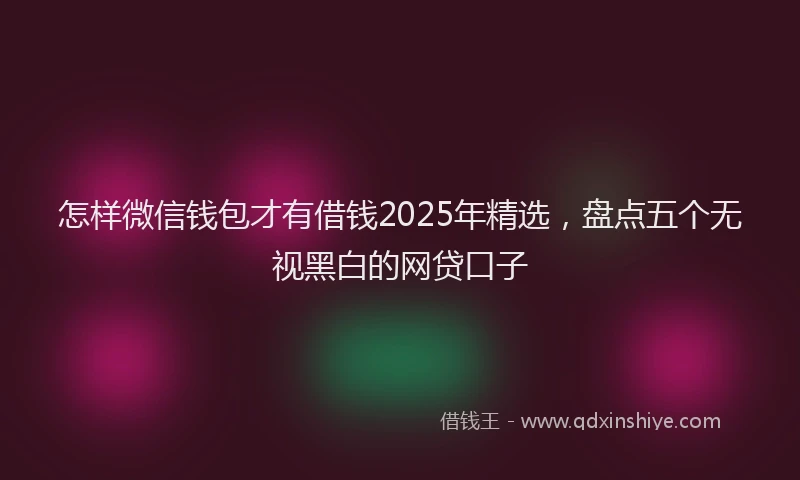 怎样微信钱包才有借钱2025年精选，盘点五个无视黑白的网贷口子
